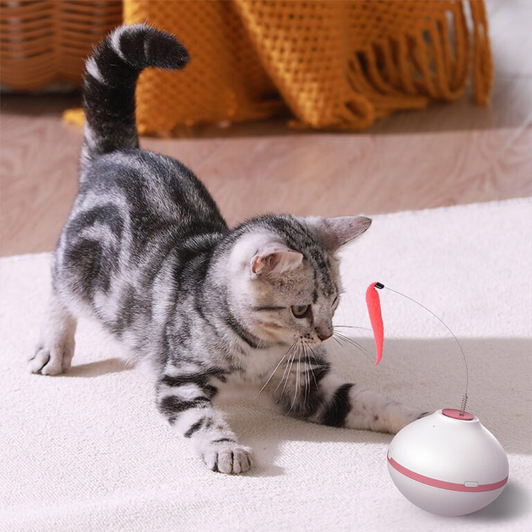 Tumbler-cat-toys-12