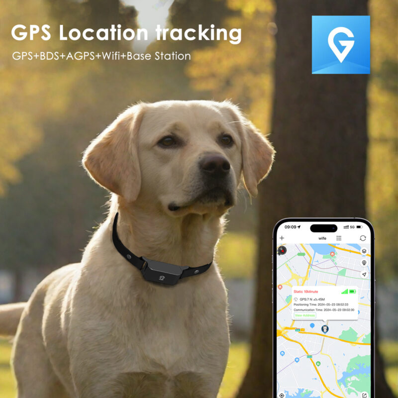 4g real time gps pet tracker ip67 waterproof smart collar with activity & sleep monitor, step counter & remote control