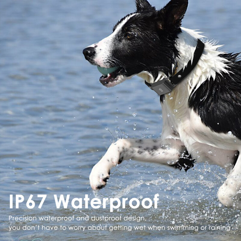 4g real time gps pet tracker ip67 waterproof smart collar with activity & sleep monitor, step counter & remote control