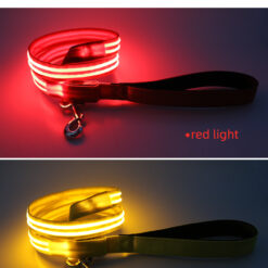 usb rechargeable led dog leash glowing safety leash with ribbon decoration for night walks