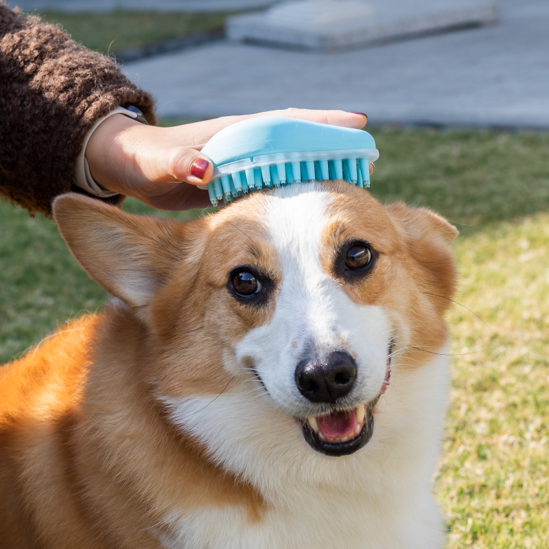 eco friendly silicone pet bath brush cleaning & massaging tool for dogs & cats