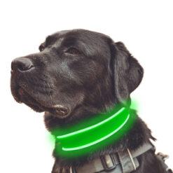 adjustable led fiber optic dog collar glowing striped pattern with ribbons