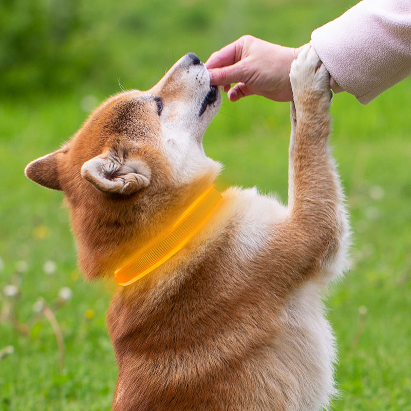 adjustable led fiber optic dog collar glowing striped pattern with ribbons