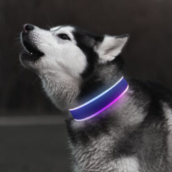 adjustable led fiber optic dog collar glowing striped pattern with ribbons