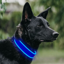 adjustable led fiber optic dog collar glowing striped pattern with ribbons
