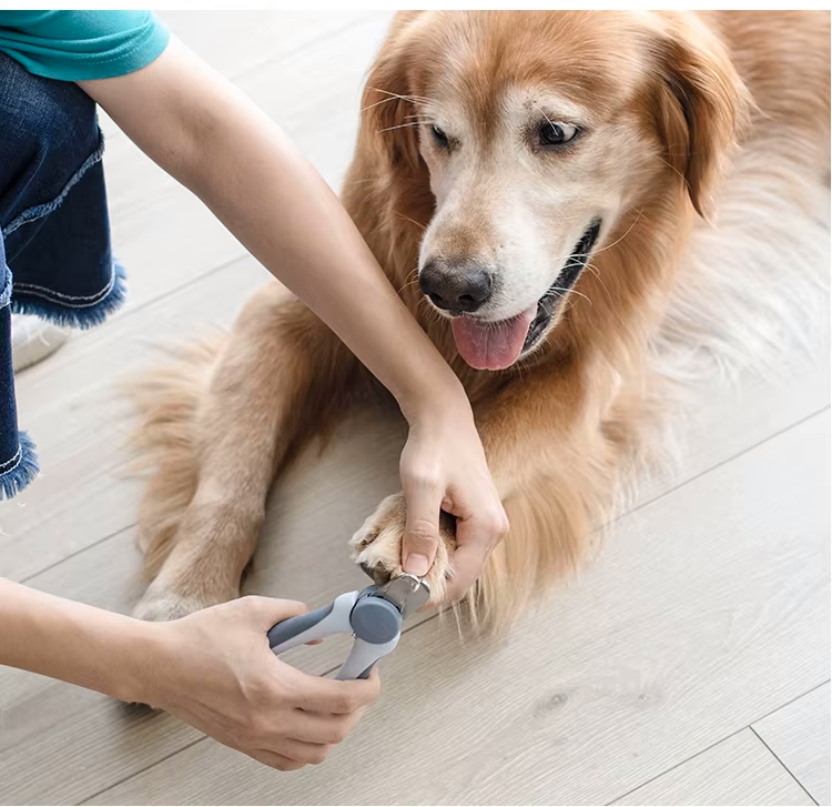 stainless steel pet nail clippers for dogs & cats professional claw trimmer with free nail file