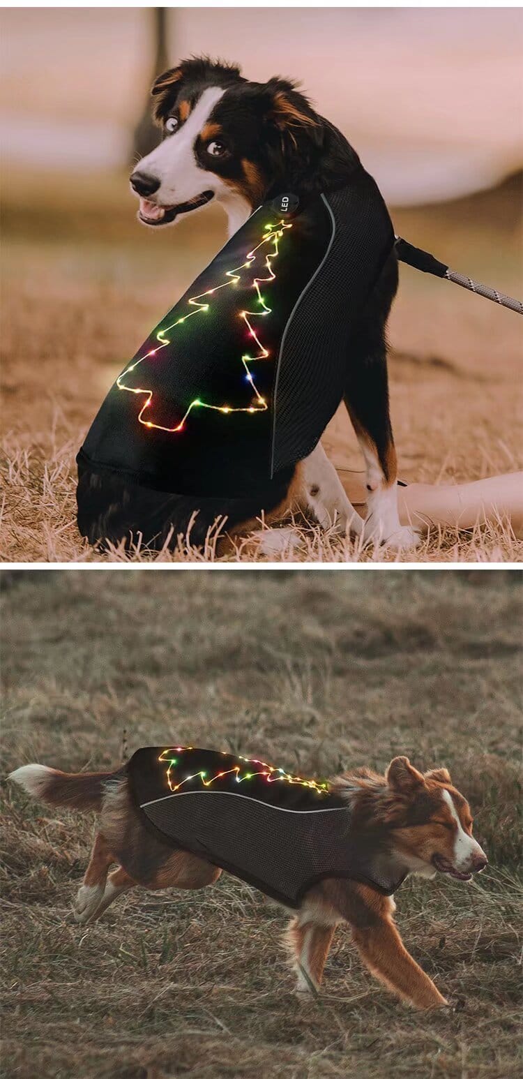 led christmas dog harness usb rechargeable with glow lights & embroidery
