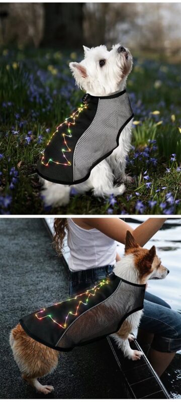 led christmas dog harness usb rechargeable with glow lights & embroidery